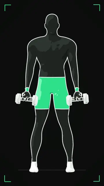 Animated demo of the Bicep Curl as the FitnessBruh app shows it