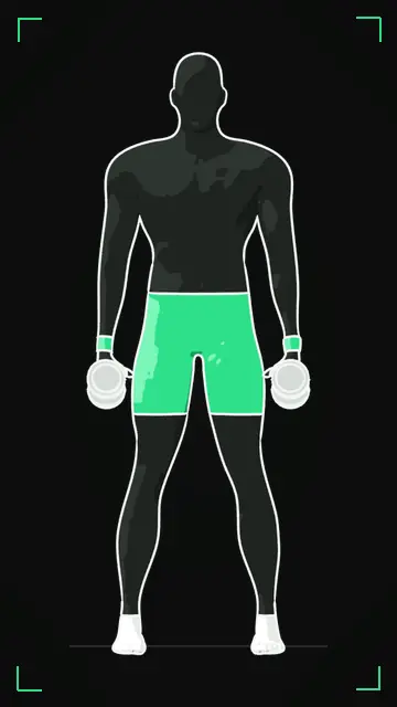 Animated demo of the Hammer Curl as the FitnessBruh app shows it